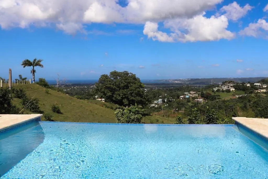 Visum Luxury Container House Villa Aguada